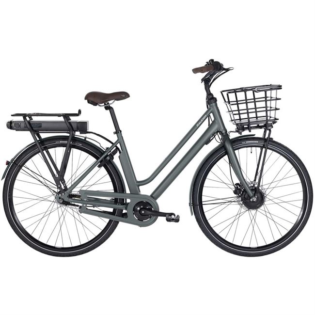 Raleigh Sussex E1 - GreyGreen 48 cm