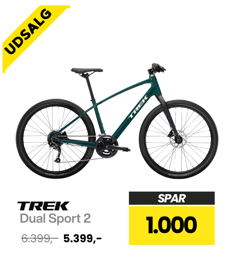 Trek dual sport 2